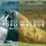 Tofu Walrus