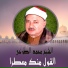 El Sheikh Mohamed El Toukhy