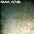 Adam Towe