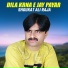 Shoukat Ali Raja