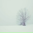 calmspirit