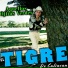 Jose Carlos Gastelum El Tigre De Culiacan
