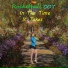 Rocketball 007