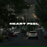 PVSHV
