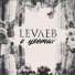 LEVЛЕВ