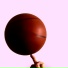 NXRM POEL