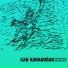 Can Karadoğan