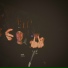 1uckboy, Lil21G