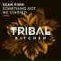 Sean Finn
