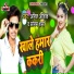 Anil Ashiq
