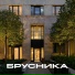 Брусника
