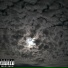 Jay509