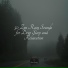Ambient Arena, Rain Sounds ACE, Study Zone