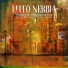Litto Nebbia