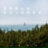 治愈纯音