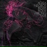 Aerea Negrot