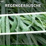 Tanz der Tropfen, Regengeräusche, Naturgeräusche