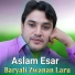 Aslam Esar