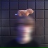 n0see