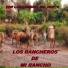 Los Rancheros De Mi Rancho
