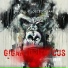 Bible Lil-E-Locced Insane