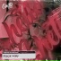 Krooze & Sickjaxx