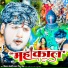 Vikash Bedardi, Nitu Singh