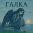 Полынь Folk, DAN3A