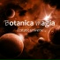 Botanica magia