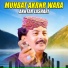 Akhtar Lashari