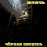 Желчь