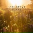 Lofi Steve