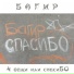 Багир