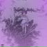 11SAUCE feat. ZINKID