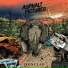 Asphalt Pictures