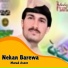 Murad Aseer