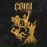 соня