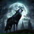 Wolf Sounds