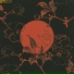 Muoko