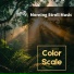 Color Scale