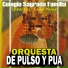 Orquesta de Pulso y Pua