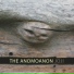 Anomoanon