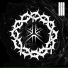 Thornsectide