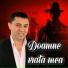 Adrian Minune, Florin Salam, Stana Izbasa