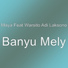 Maya feat. Warsito Adi Laksono
