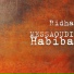 Ridha MESSAOUDI