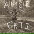 peresmeshnitsa