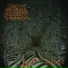 Spawn Of Possession