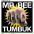 Mr.Bee