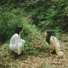 Movement of Binn